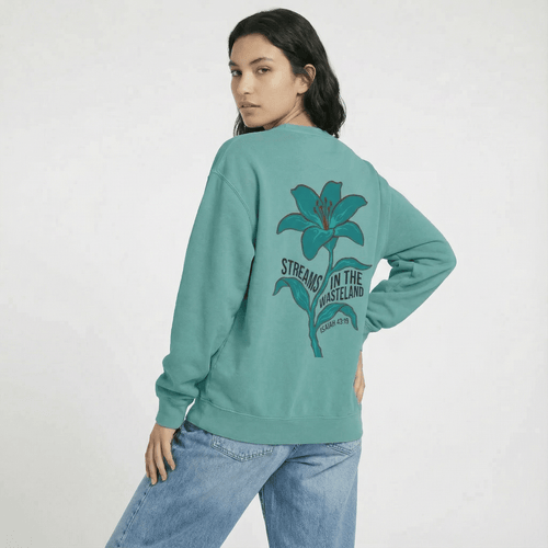 Mercy & More Sweatshirt Streams In The Wasteland Sweatshirt