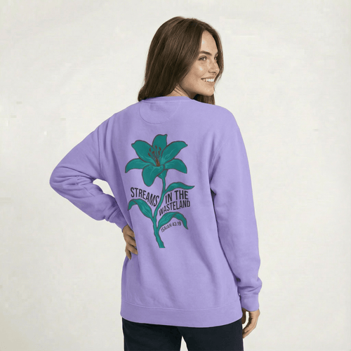 Mercy & More Sweatshirt Streams In The Wasteland Sweatshirt